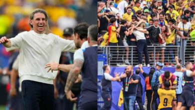 ecuador coach sebastian beccacece turns spider-man, climbs stands to celebrate after sealing world cup knockout spot